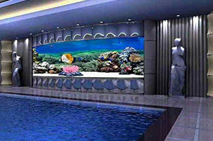 合肥亚克力鱼缸如何清洗？平时需要做哪些维护？