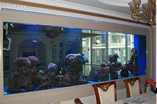 合肥制作鱼池假山选择哪些石头比较好呢？看图