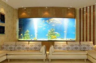 用有机玻璃缸养鱼有哪些注意事项？有机玻璃缸是可以自己做的