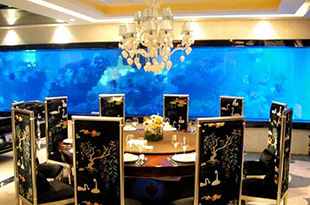 合肥鱼缸定做师傅教您怎样辨别鱼缸中水质的好坏？