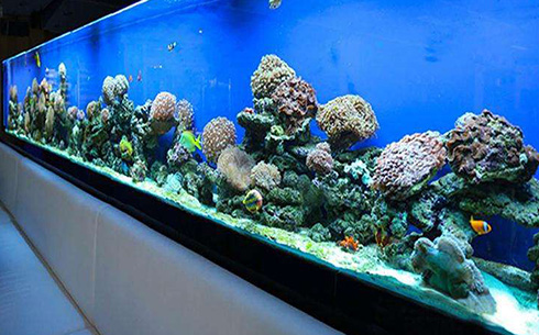 合肥鱼池假山设计的方法以及注意事项有哪些？悦龙阁