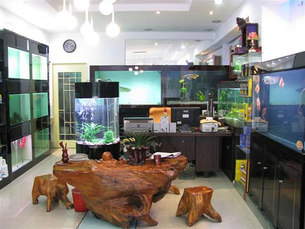 水族爱好者办公室