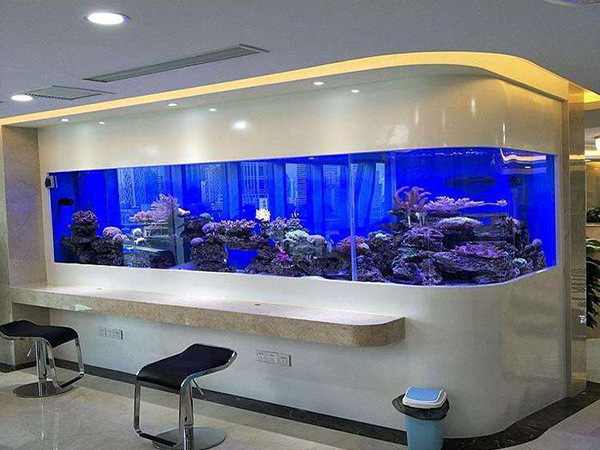 吧台鱼缸